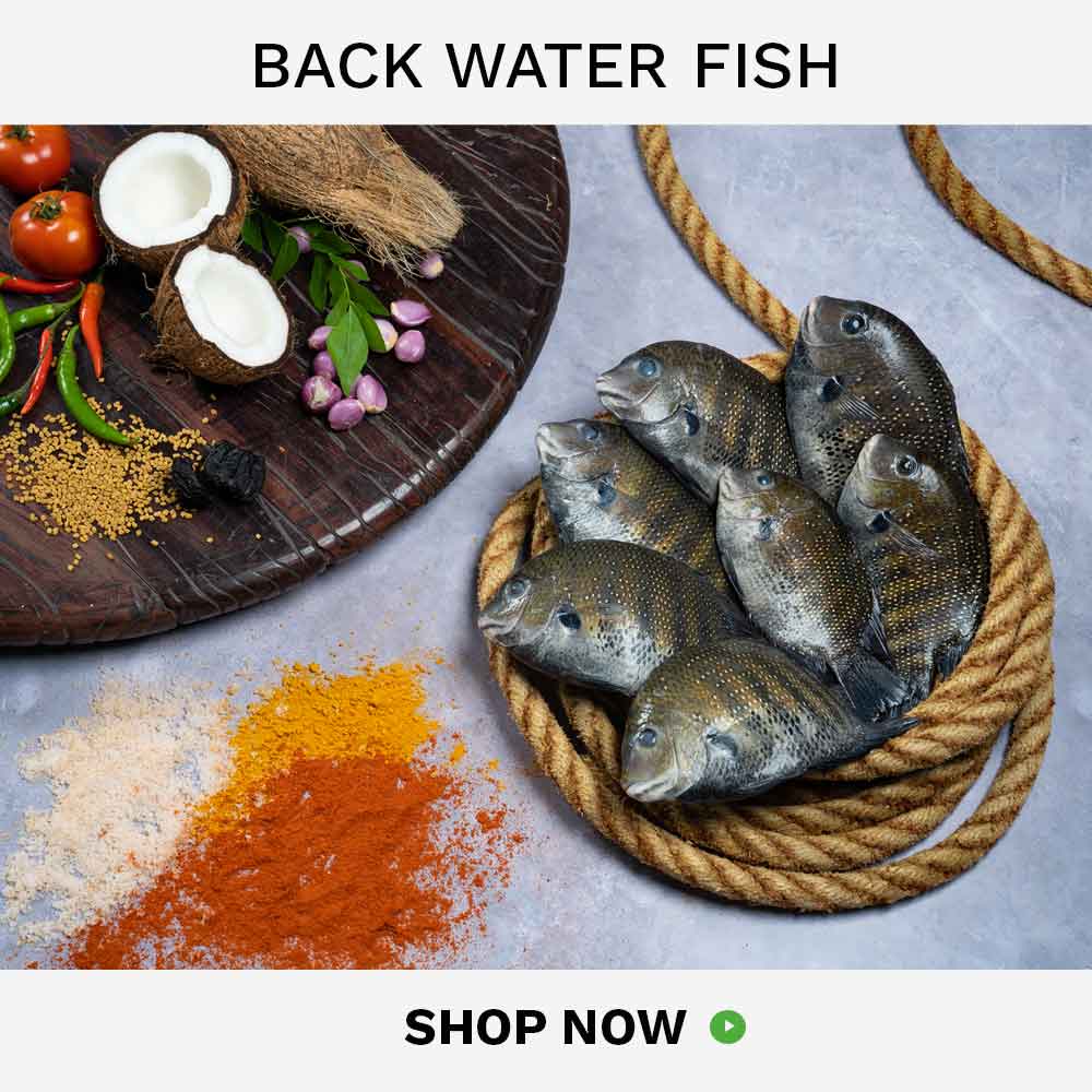 buy backwater fish