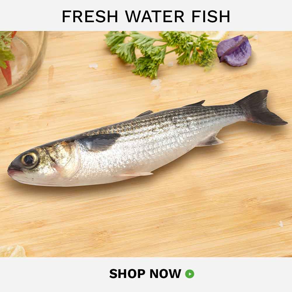 buy freshwater fish