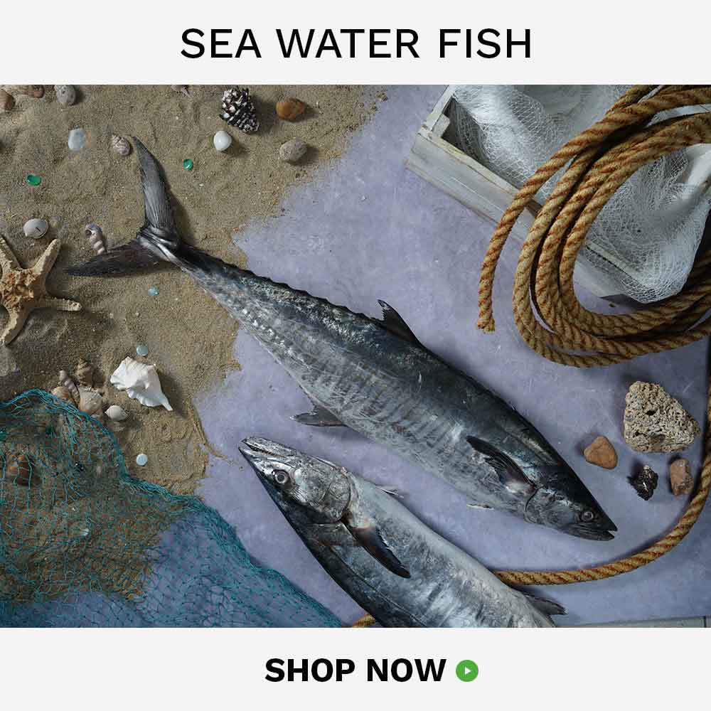 buy seawater fish