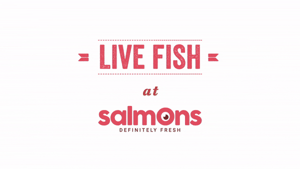 buy live fish