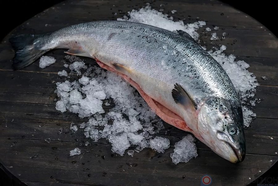 ATLANTIC SALMON-BIG (4-5KG)