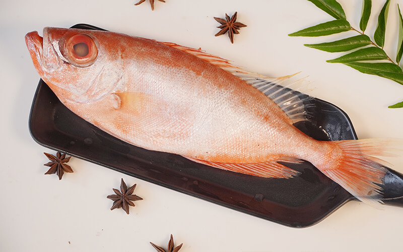 FINNED BULLEYE / SILK FISH - MEDIUM
