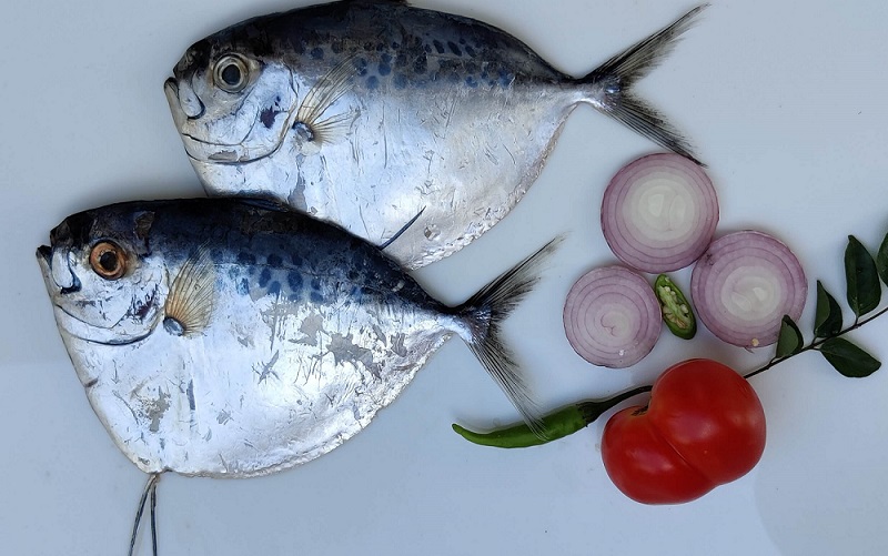 Whole Fish (Not cleaned & cut)
