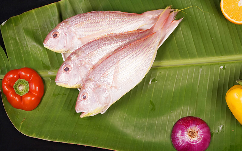 PINK PERCH/KILIMEEN- MEDIUM