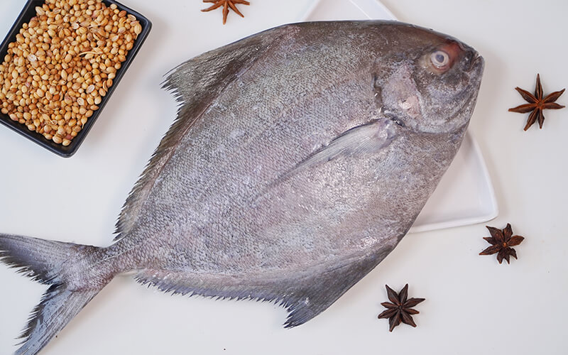 POMFRET BLACK / AVOLI BLACK - BIG (400 - 900gms)