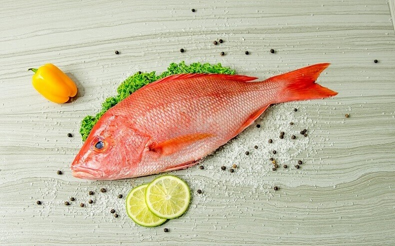 RED SNAPPER / KADAL CHEMPALLI (BIG)