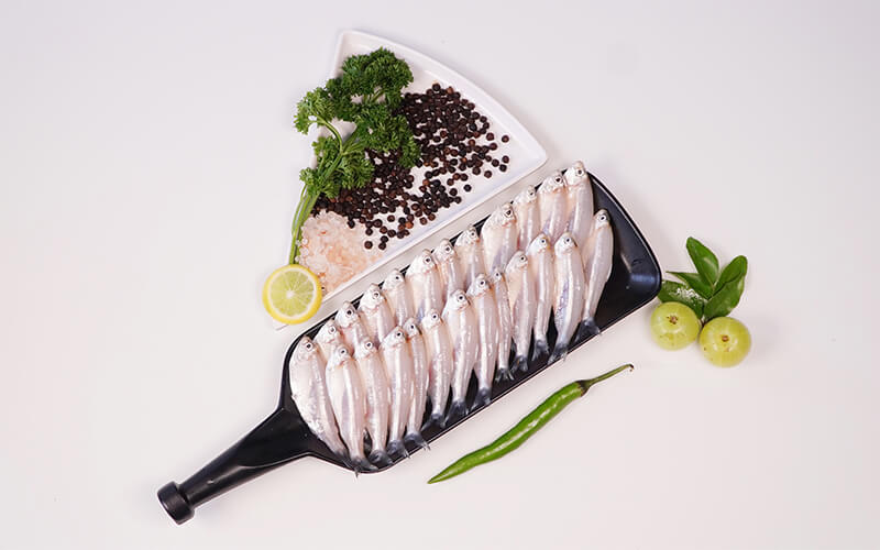 WHITE SARDINE/VELOORI-SMALL